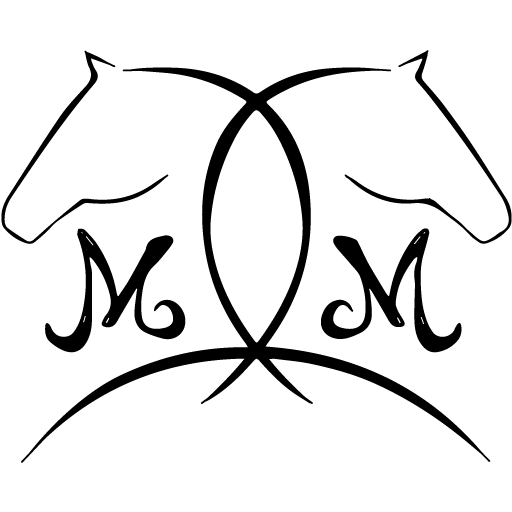 Order Online Matchy Matchy Horse Apparel